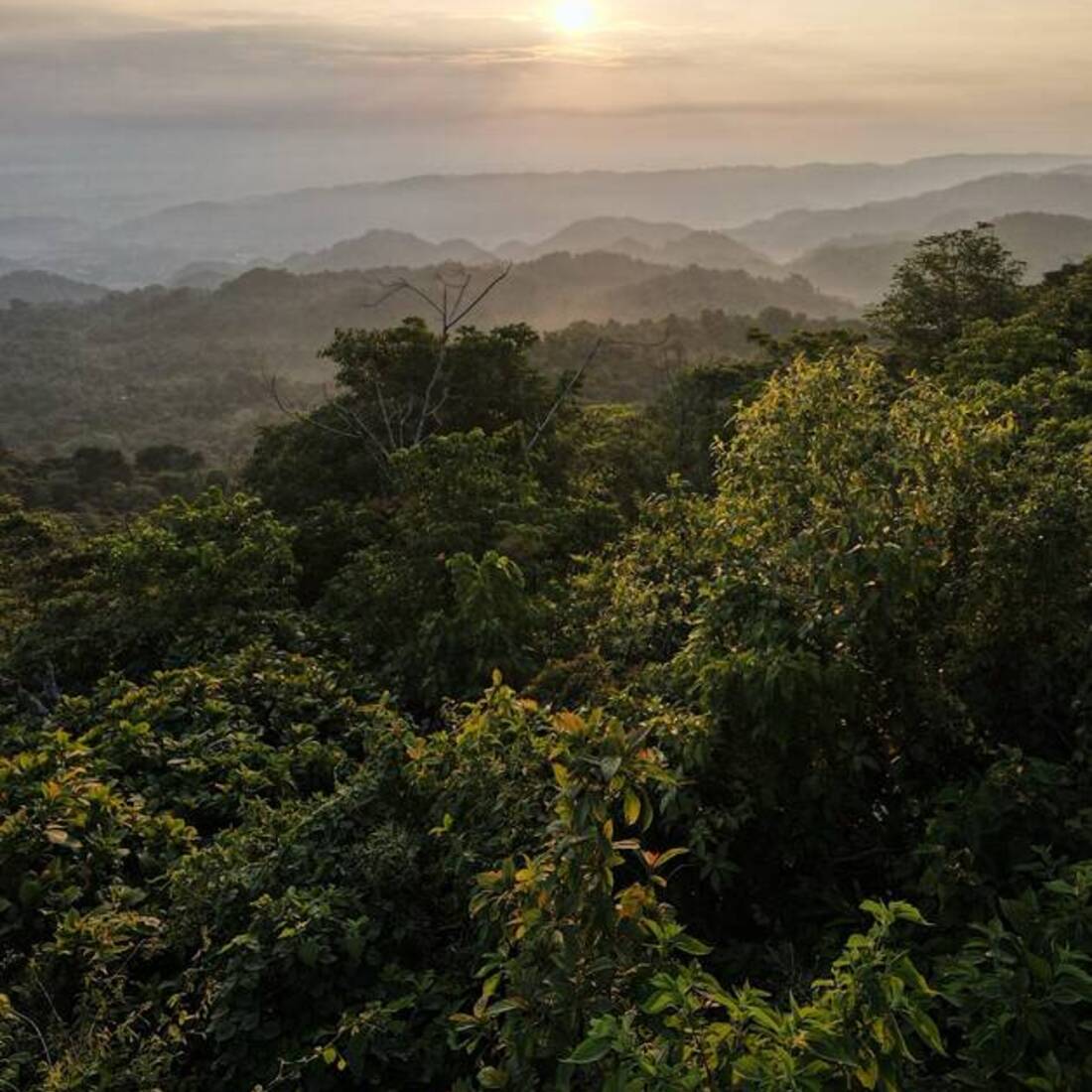 Amanecer sobre la sierra